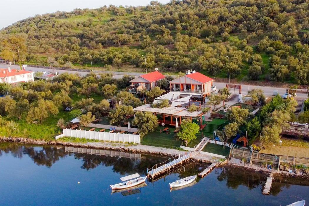 Qcunda Otel Ayvalı Εξωτερικό φωτογραφία
