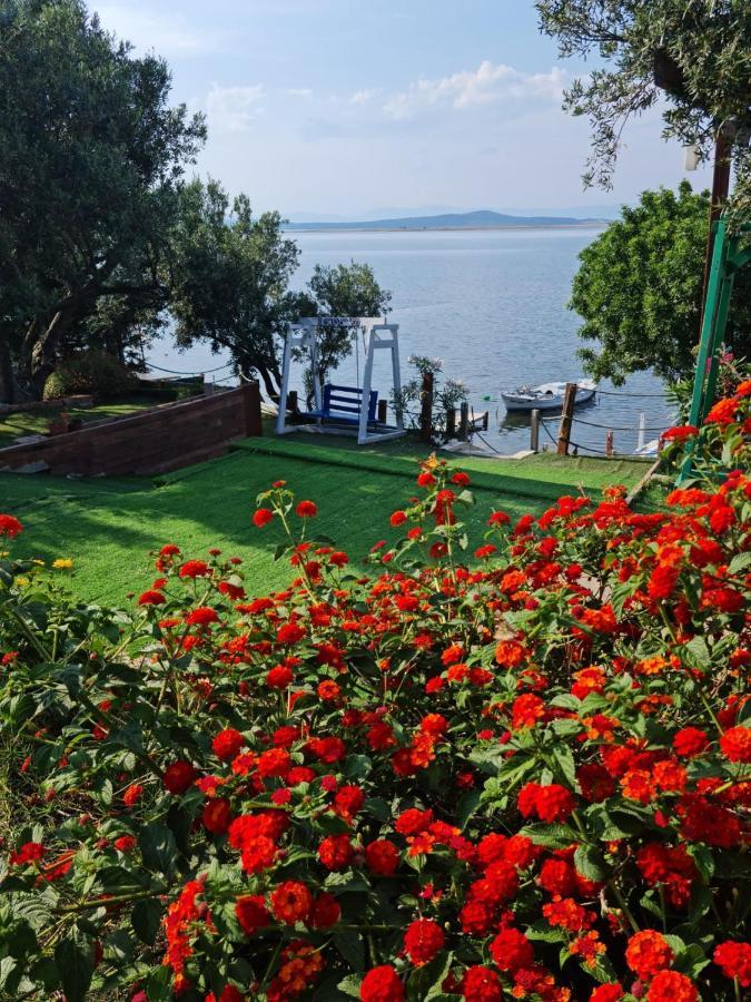 Qcunda Otel Ayvalı Εξωτερικό φωτογραφία