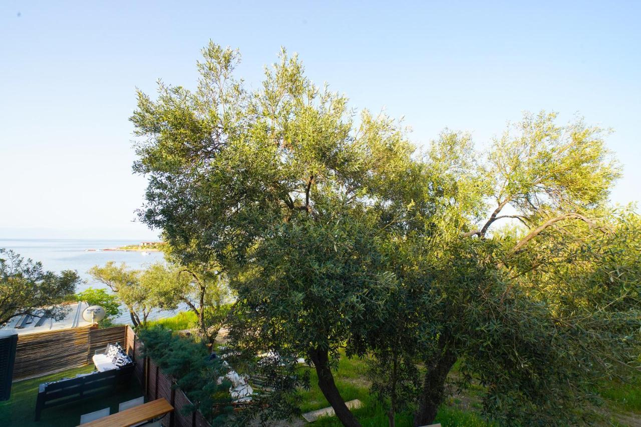 Qcunda Otel Ayvalı Εξωτερικό φωτογραφία